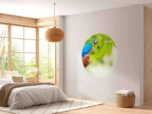 Online Papegaai in de zon fotobehang Dieren
