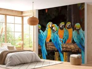 Clearance Papegaaien op een tak fotobehang Dieren