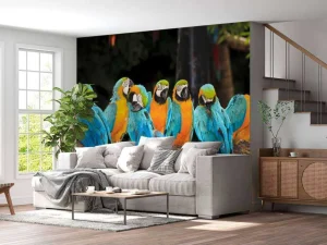 Clearance Papegaaien op een tak fotobehang Dieren