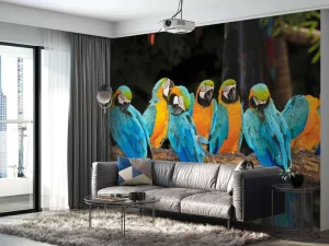 Clearance Papegaaien op een tak fotobehang Dieren
