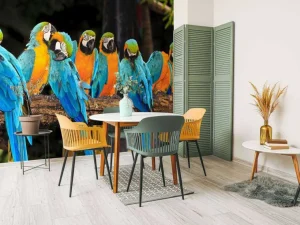 Clearance Papegaaien op een tak fotobehang Dieren