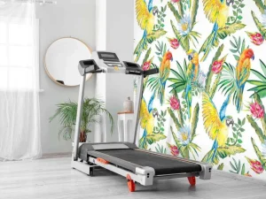 Fashion Papegaaien print fotobehang Tienerkamer | Dieren