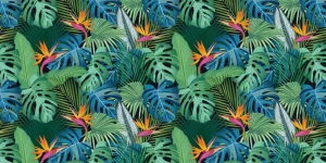 Fashion Paradijsvogelbloem Bloemen