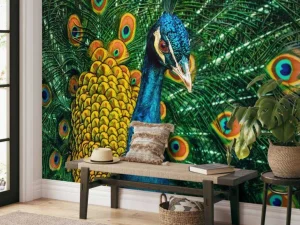 Fashion Pauw van dichtbij fotobehang Tienerkamer | Dieren
