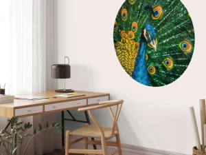 Fashion Pauw van dichtbij fotobehang Tienerkamer | Dieren