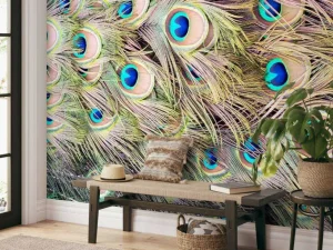 Sale Pauw veren met ogen fotobehang Dieren
