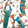 Sale Pauwen print fotobehang Dieren