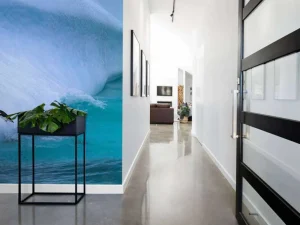 Hot Pinguïns glijden van een helling af fotobehang Dieren