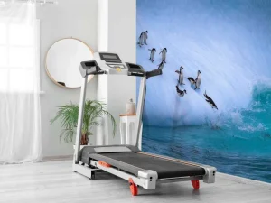 Hot Pinguïns glijden van een helling af fotobehang Dieren