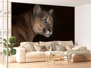 Sale Poema met een zwarte achtergrond fotobehang Dieren