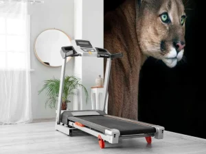 Sale Poema met een zwarte achtergrond fotobehang Dieren