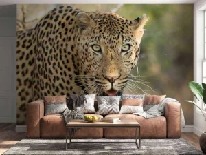 Discount Portret Luipaard in Zuid-Afrika fotobehang Dieren