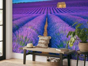 New Prachtig bloemenveld van lavendel fotobehang Bloemen