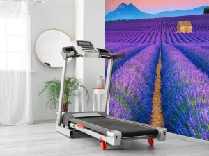 New Prachtig bloemenveld van lavendel fotobehang Bloemen