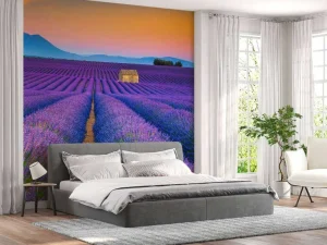 New Prachtig bloemenveld van lavendel fotobehang Bloemen