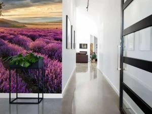 Fashion Prachtig landschap met lavendel veld bij zonsopkomst fotobehang Bloemen