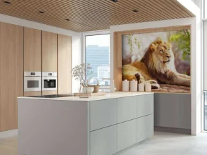 Online Prachtige Afrikaanse leeuw in de zon fotobehang Tienerkamer | Hobbykamer