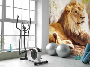 Online Prachtige Afrikaanse leeuw in de zon fotobehang Tienerkamer | Hobbykamer