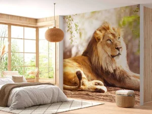 Online Prachtige Afrikaanse leeuw in de zon fotobehang Tienerkamer | Hobbykamer