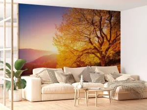 Discount Prachtige beukenboom in de herfst fotobehang Bloemen