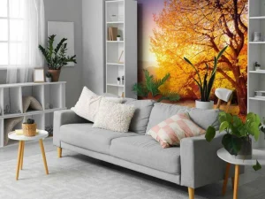 Discount Prachtige beukenboom in de herfst fotobehang Bloemen