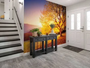 Discount Prachtige beukenboom in de herfst fotobehang Bloemen