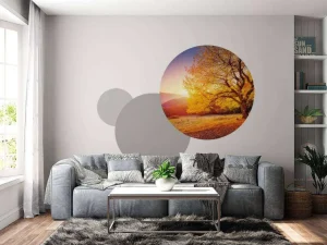 Discount Prachtige beukenboom in de herfst fotobehang Bloemen