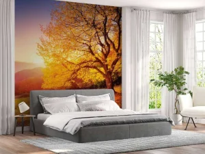 Discount Prachtige beukenboom in de herfst fotobehang Bloemen