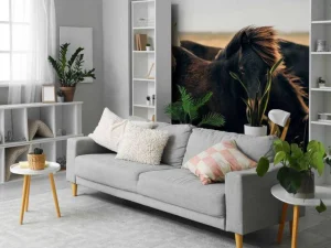 Clearance Prachtige paarden in de wind fotobehang Tienerkamer | Kinderkamer