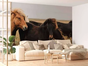 Clearance Prachtige paarden in de wind fotobehang Tienerkamer | Kinderkamer