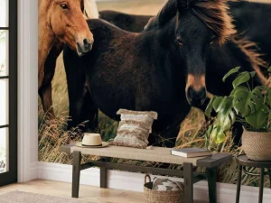 Clearance Prachtige paarden in de wind fotobehang Tienerkamer | Kinderkamer