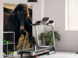 Clearance Prachtige paarden in de wind fotobehang Tienerkamer | Kinderkamer