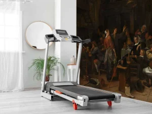 Online Prinsjesdag fotobehang Kunst & Design