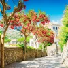 Online Ravello Village op een zonnige dag fotobehang Bloemen | Architectuur