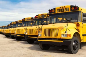 Sale Rij met gele schoolbussen fotobehang Kinderkamer | Transport