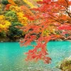 Best Rivier in Arashiyama in het herfstseizoen fotobehang Bloemen