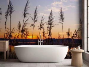 Hot Rivier met riet bij zonsondergang fotobehang Bloemen