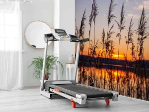 Hot Rivier met riet bij zonsondergang fotobehang Bloemen