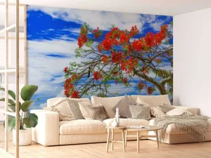 Outlet Rode flamboyant boom op het strand fotobehang Transport | Bloemen