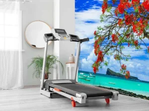 Outlet Rode flamboyant boom op het strand fotobehang Transport | Bloemen