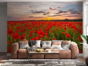 Best Rode klaprozenveld bij zonsondergang fotobehang Bloemen