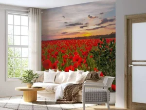 Best Rode klaprozenveld bij zonsondergang fotobehang Bloemen