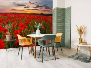 Best Rode klaprozenveld bij zonsondergang fotobehang Bloemen