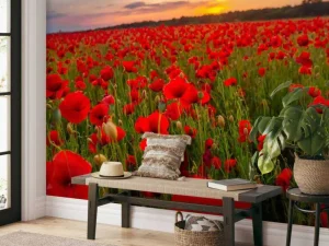 Best Rode klaprozenveld bij zonsondergang fotobehang Bloemen