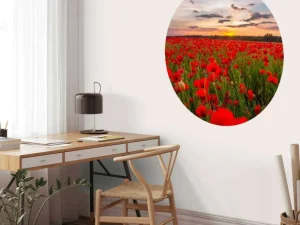 Best Rode klaprozenveld bij zonsondergang fotobehang Bloemen