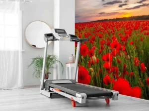 Best Rode klaprozenveld bij zonsondergang fotobehang Bloemen