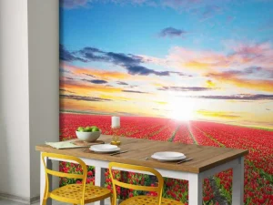 Best Rode tulpenveld bij zonsopkomst fotobehang Steden | Architectuur
