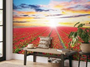 Best Rode tulpenveld bij zonsopkomst fotobehang Steden | Architectuur
