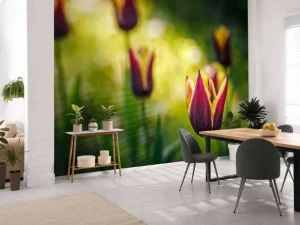 Outlet Rood-gele tulpen close-up fotobehang Bloemen