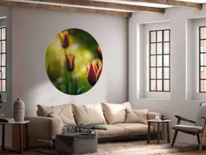 Outlet Rood-gele tulpen close-up fotobehang Bloemen